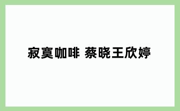 寂寞咖啡 蔡晓王欣婷